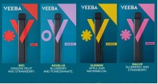 Veeba MAUVE BLUEBERRY STRAWBERRY FLAVOUR DISPOSIBLE QUIT SMOKING Crystal inhaler